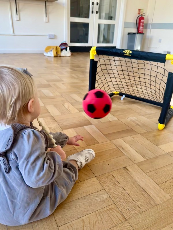 Mini Movers session